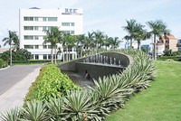ĐHCĐ trực tuyến: Chưa có tín hiệu mới